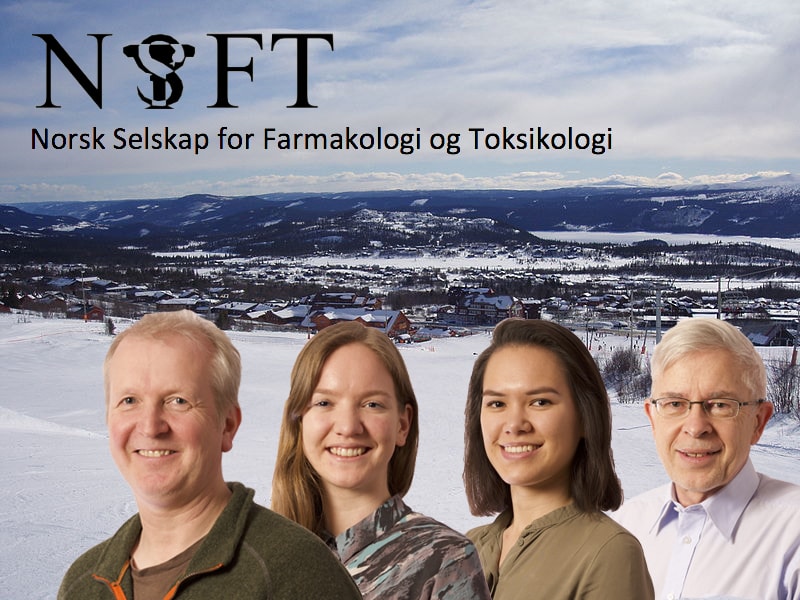 NIOM presenting at the 2018 NSFT winter meeting in Beitostølen
