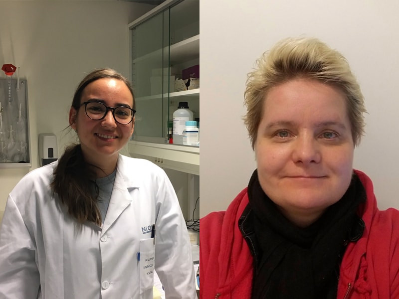 Guest researchers from Finland and Greece