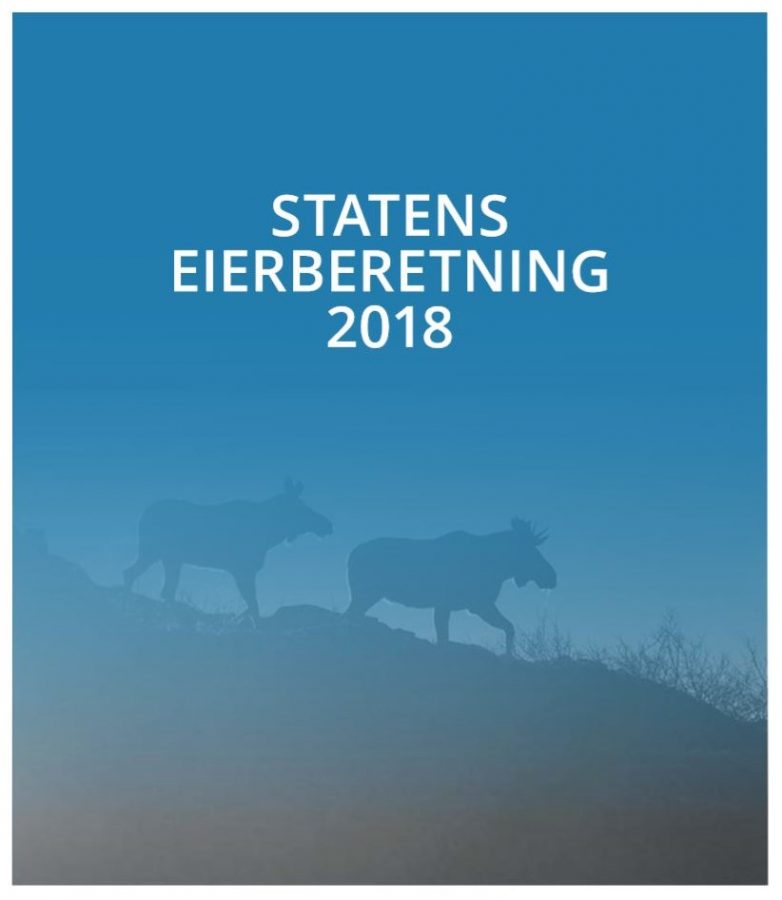 Statens eierberetning 2018