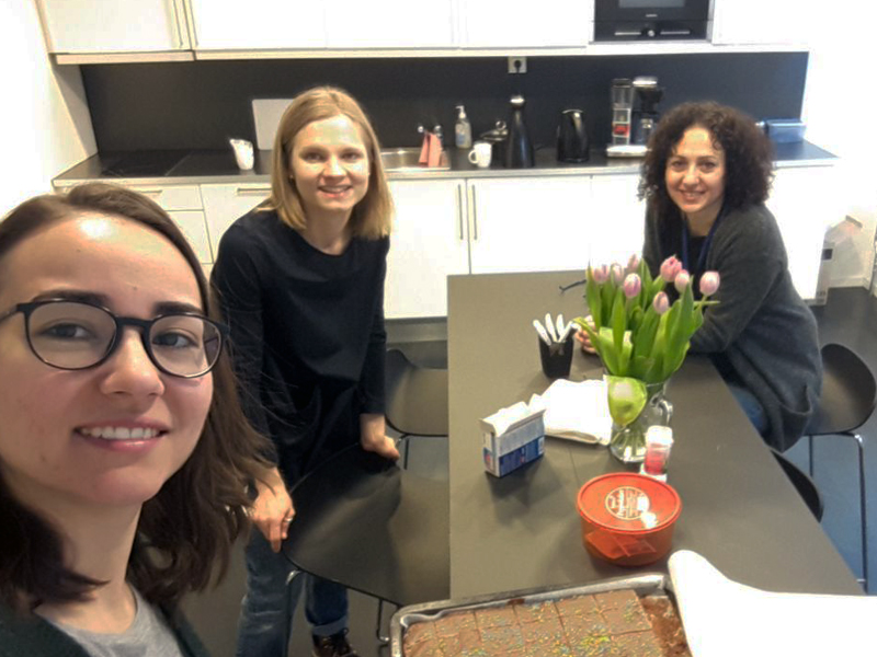 Visiting scientist Tarja Tanner summarizes her six months at NIOM