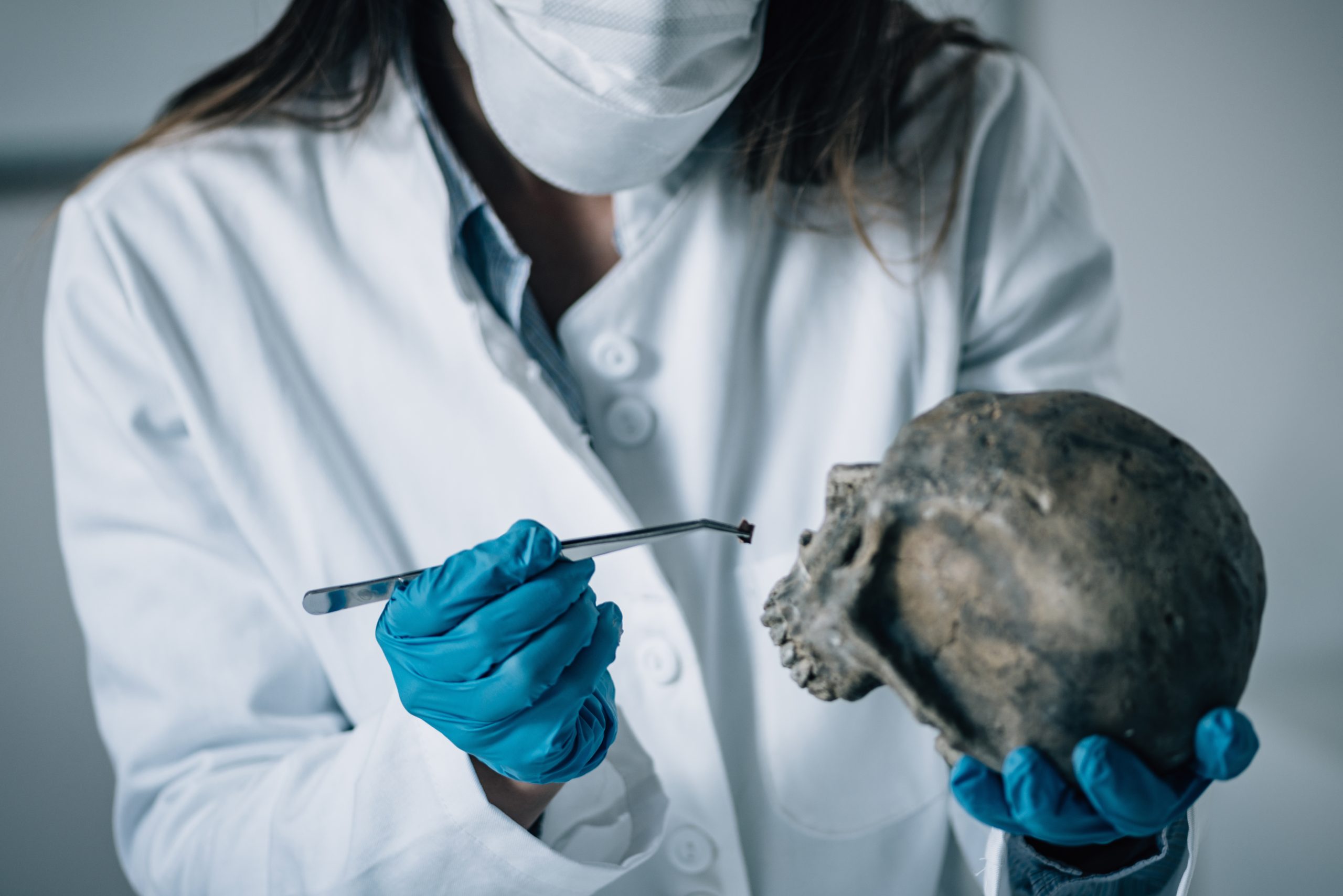 How to perform dental forensic identification of deceased persons with no dental restorations?