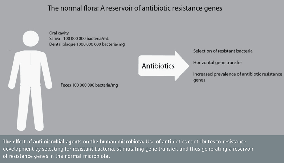 The oral microflora – a reservoir of antibiotic resistance genes?
