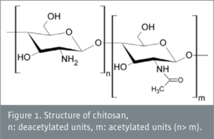 Chitosan – antibacterial use in dental materials