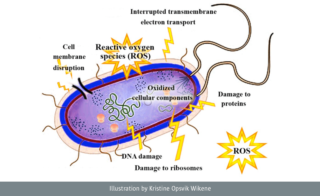 Antimicrobial photodynamic therapy: a new antibacterial treatment