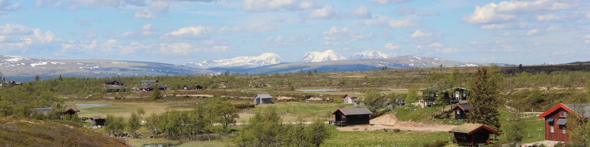 Festivalsommaren 2016: Heme Dine