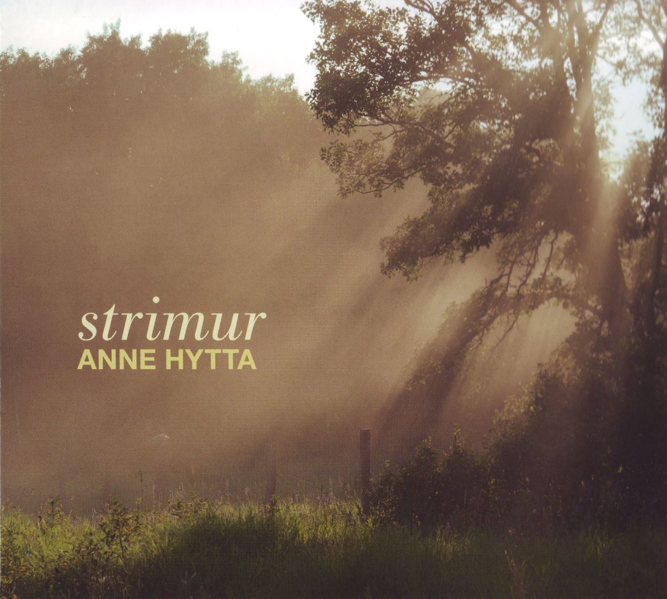 Anne Hytta - Strimur