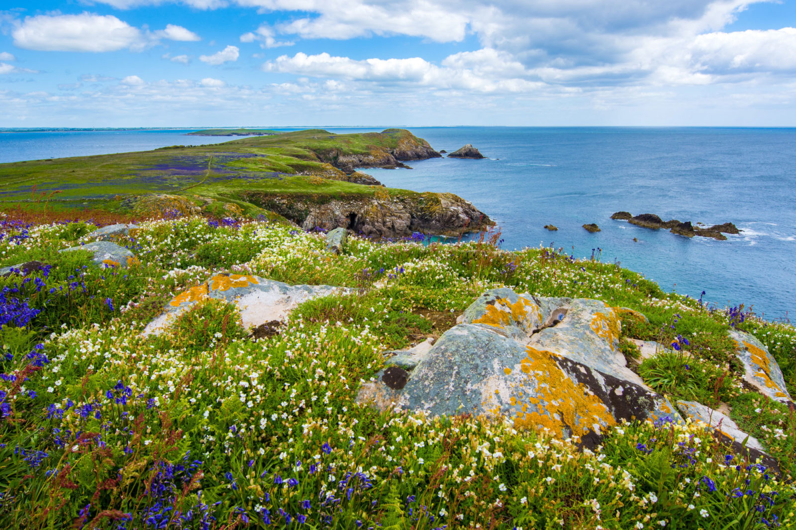 Sketches of Green: Irish folk music