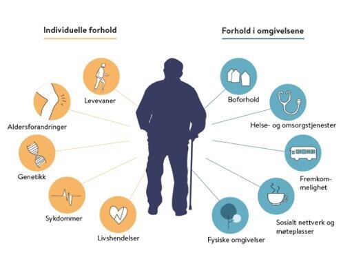 Illustrasjon som viser hvilke faktorer som påvirker eldre sin helse