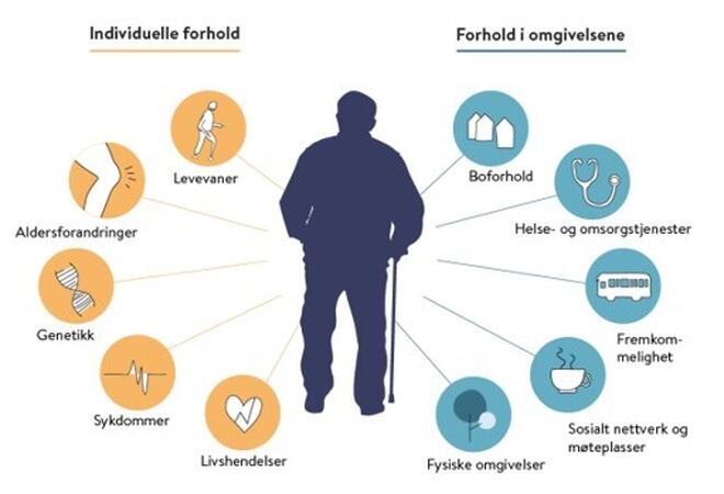 Illustrasjon som viser hvilke faktorer som påvirker eldre sin helse