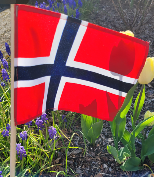 Norsk flagg i blomsterbed
