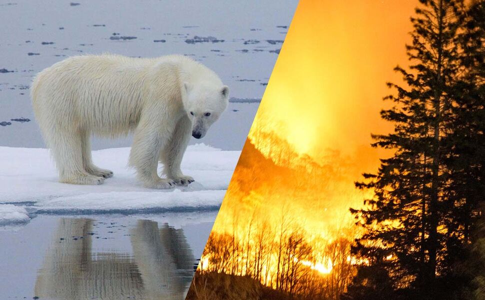 Klimaendringene vil føre til store ødeleggelser for mennesker og natur. Norges klimamål krever omfattende omstilling på mange områder. Foto: Kt MILLER/POLAR BEARS INTERNATIONAL/AFP/NTB og Tomm W. Christiansen/VG/NTB