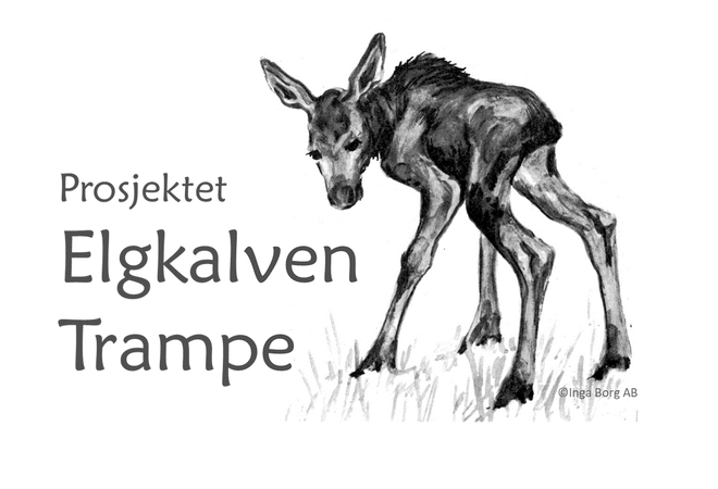 Logo for prosjekt Elgekalven Trampe. Elgekalv i sort-hvitt.