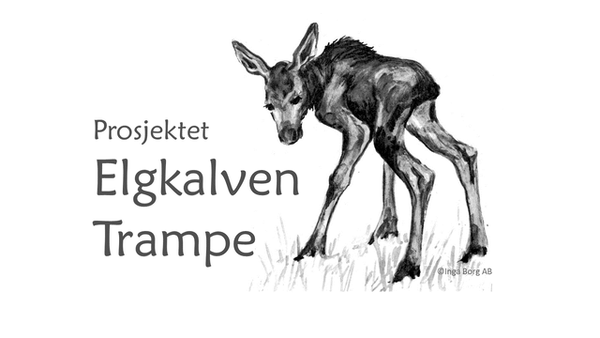 Trampe-logo - hvorfor dør elgene på sørlandet?