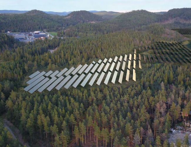 Illustrasjon av Birkeland solkraftverk som krever rydding av skog for etablering av anlegget. Foto: Kilde Birkeland Solpark AS