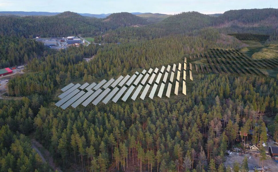 Illustrasjon av Birkeland solkraftverk som krever rydding av skog for etablering av anlegget. Foto: Kilde Birkeland Solpark AS