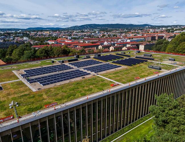 Det er plantet sedum på taket av nye Tøyenbadet. Foto: TLauluten