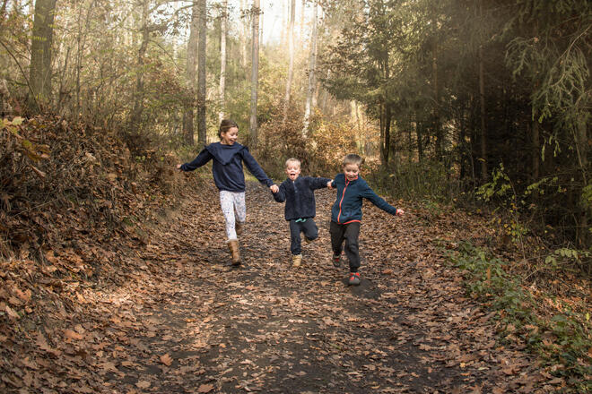 Happy three siblings children running in autumn forest. Family o