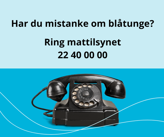 Bilde av en svart telefon. Oppfordring om å ringe mattilsynet på tlf. 22 40 00 00 ved mistanke om blåtungevirus.