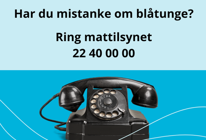 Bilde av en svart telefon. Oppfordring om å ringe mattilsynet på tlf. 22 40 00 00 ved mistanke om blåtungevirus.