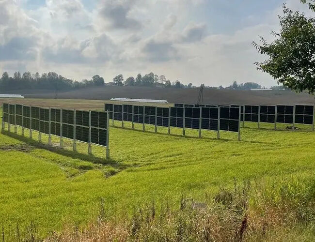 Ved NMBU skal de forske på samdrift mellom solkraft og kornproduksjon. Nå står solcellepaneler på Kjerringjordet. Foto: Espen Olsen