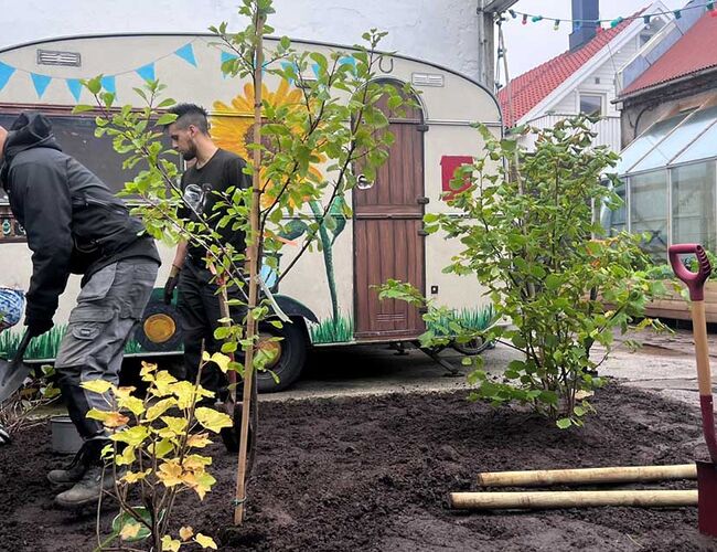 Permaby Demo Site er et av de fem utvalgte prosjektene i den innovative kvikktest-konkurransen arrangert av Stavanger kommune. Prosjektet fokuserer på å forvandle bymiljøer til selvbærende og bærekraftige økosystemer – her skal bakgården til Terran gjøres om til en urban hage som bruker regnvann, også kjent som overvann. Foto: Norsk Wavin