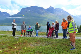 Ballkast____Tine Marie V Hagelin