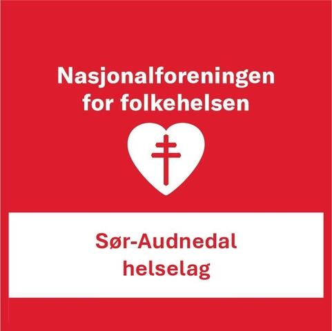 Sør-Audnedal helselag