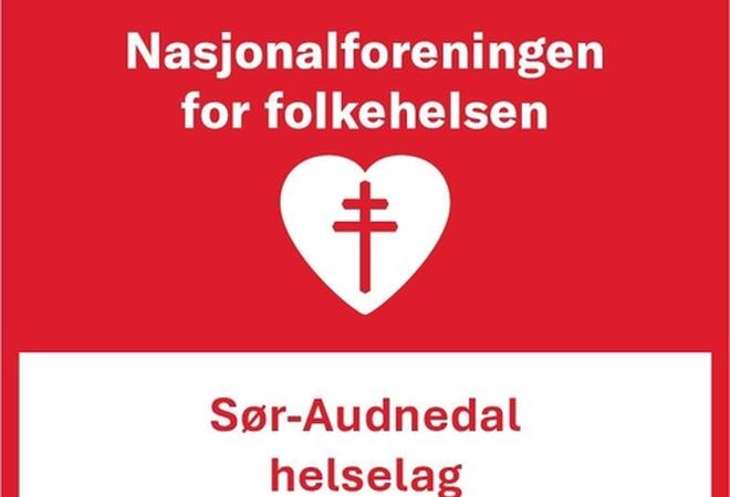 Sør-Audnedal helselag