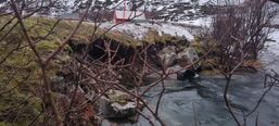 Steinnesvegen