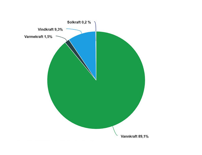 Produksjon av elektrisitet i 2024. Kilde: SSB