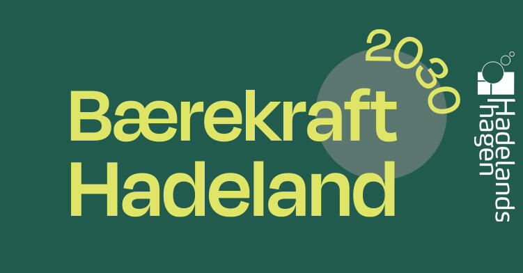 Logo Bærekraft2030