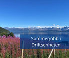 Sommerjobb Drift[1]