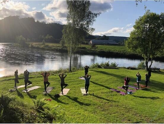 Flere mennesker som utfører yoga. De er på en grønn plen, med nærhet til elva.