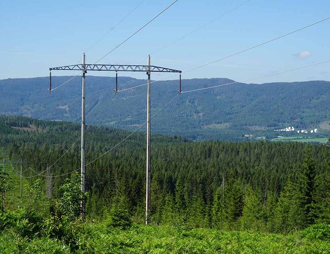 Norsk Varmepumpeforening mener at forslaget om Norgespris har flere hull og mangler. FOTO: Statnett.