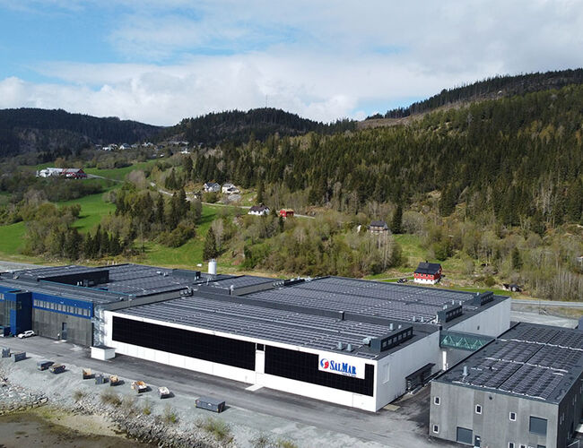 Solcellene på SalMars fabrikk i Malm skal produsere cirka 1,8 GWh i året. Foto: Emma A. Johansen