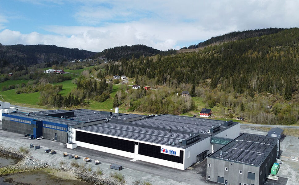Solcellene på SalMars fabrikk i Malm skal produsere cirka 1,8 GWh i året. Foto: Emma A. Johansen