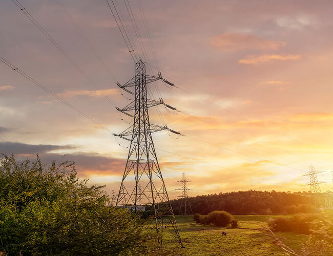 Foto: Shutterstock, Irene Miller