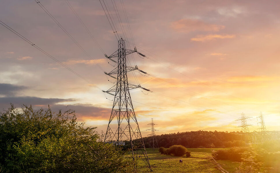Foto: Shutterstock, Irene Miller