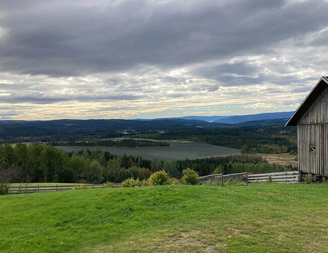 Illustrasjon som viser hvordan Seval skog solkraftverk kan bli seende ut fra Seval gård, nord for planområdet. Kilde: Energeia Seval Skog AS.