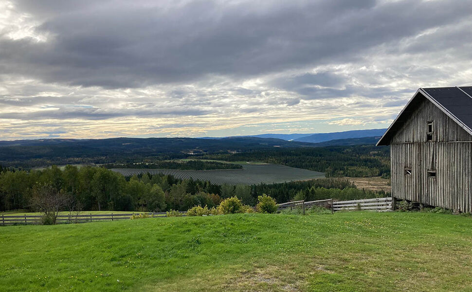 Illustrasjon som viser hvordan Seval skog solkraftverk kan bli seende ut fra Seval gård, nord for planområdet. Kilde: Energeia Seval Skog AS.