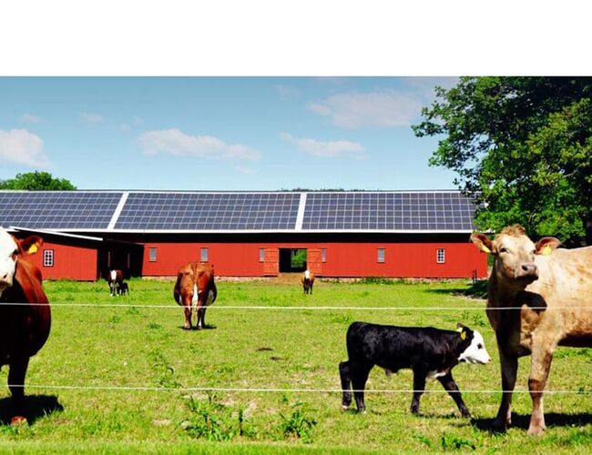 Foto: EnergiEngagemang
