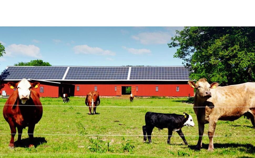 Foto: EnergiEngagemang