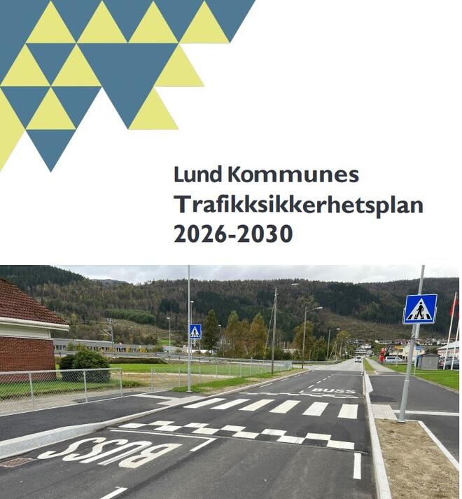 Bilde av trekanter i logo, vei med buss stopp og gangfelt