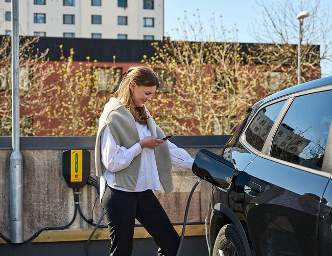 Foto: Aneo Foto: Aneo