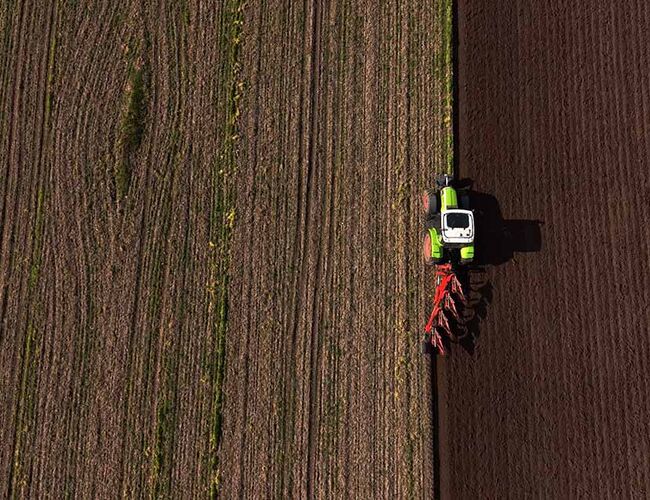 Forskerne har analysert fire ulike strategier for håndtering av halm og planterester. En av strategiene går ut på å fjerne halvparten av restene og pløye resten ned i jorden. Foto: Teknologisk Institut.