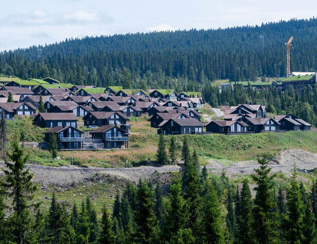 Nedbygging av naturarealer er en stor kilde til klimagassutslipp, med et årlig utslipp på 1,9 millioner tonn. Nå får kommunene et nytt verktøy for å regne ut hvor mye klimautslipp en utbygging vil medføre. Foto: Bård Bredesen