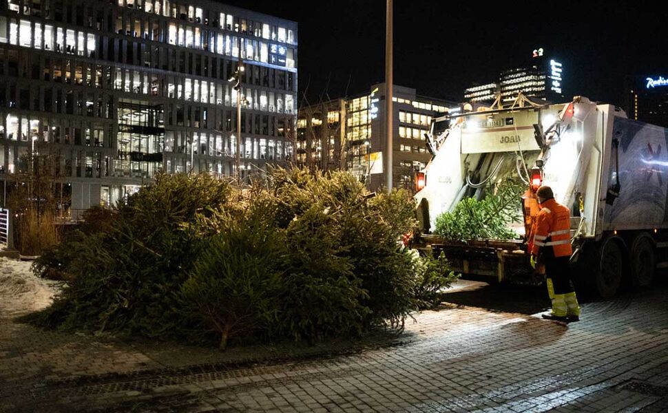 Juletreinnsamling i Oslo. Foto: Oslo kommune Juletreinnsamling i Oslo. Foto: Oslo kommune