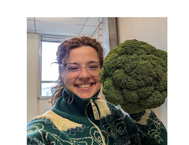 Carolina Palma forklarer at oppvarming av jorda kan forlenge vekstsesongen, og gjøre det mulig å ha to innhøstinger av brokkoli og andre grønnsaker i én vekstsesong. Foto: Carolina Palma / NIBIO Carolina Palma forklarer at oppvarming av jorda kan forlenge vekstsesongen, og gjøre det mulig å ha to innhøstinger av brokkoli og andre grønnsaker i én vekstsesong. Foto: Carolina Palma / NIBIO