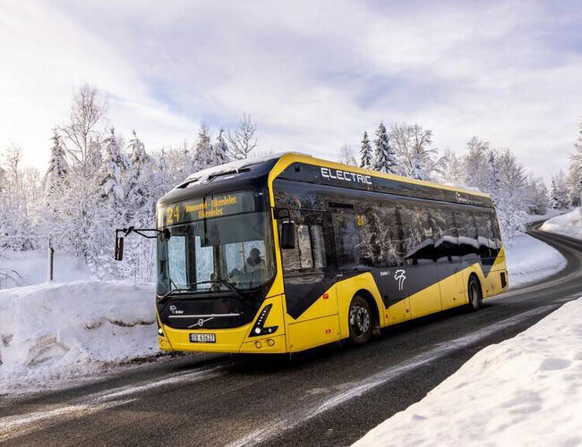 Foto: Ilona Stelzl/Brakar Foto: Ilona Stelzl/Brakar