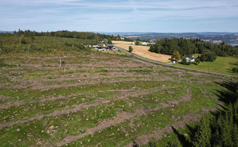 Bildet viser området som skal nydyrkes før det etableres et solkraftverk i samdrift med landbruk. Illustrasjonen er hentet fra konsekvensutredningen. Kilde: NVE Bildet viser området som skal nydyrkes før det etableres et solkraftverk i samdrift med landbruk. Illustrasjonen er hentet fra konsekvensutredningen. Kilde: NVE